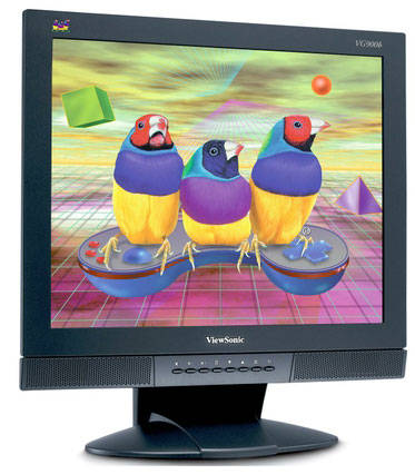 VIEWSONIC VG900b 19INCH LCD SCREEN WITH SPEAKERS (PLEASE READ)